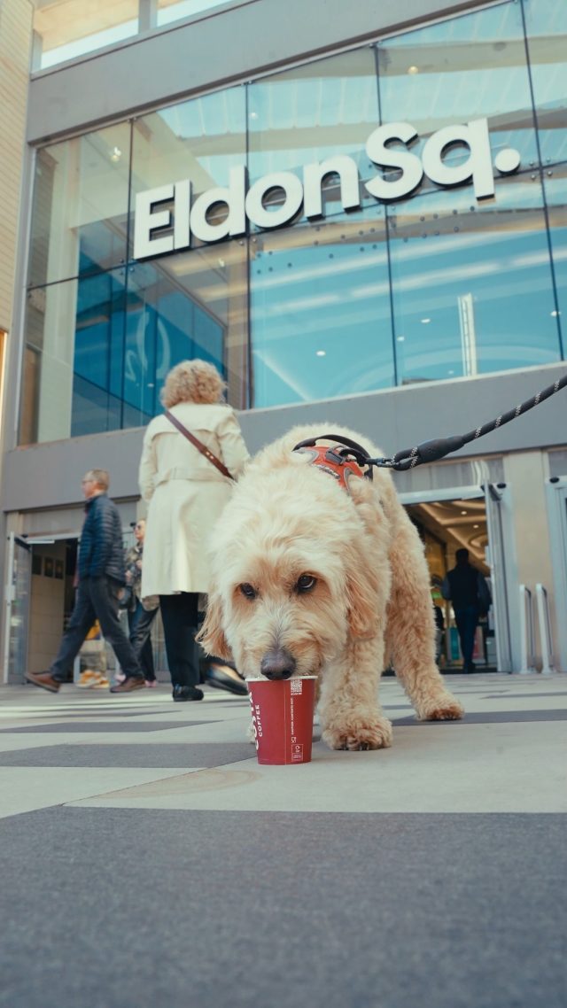 Celebrating National Pet Day with some of our fave furry visitors 🐶Bring your four-legged friend along for a shopping day, as many of our stores and cafes are dog-friendly! P.S. A huge thank you to @costaukofficial for providing the cutest pup cups 🍦✨